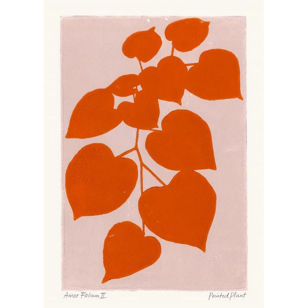 PSTR STUDIO Art Print Amor Folium II - PrintedPlant