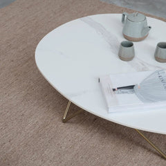 FURNIFIED Coffee Table Richard Ceramic 100cm